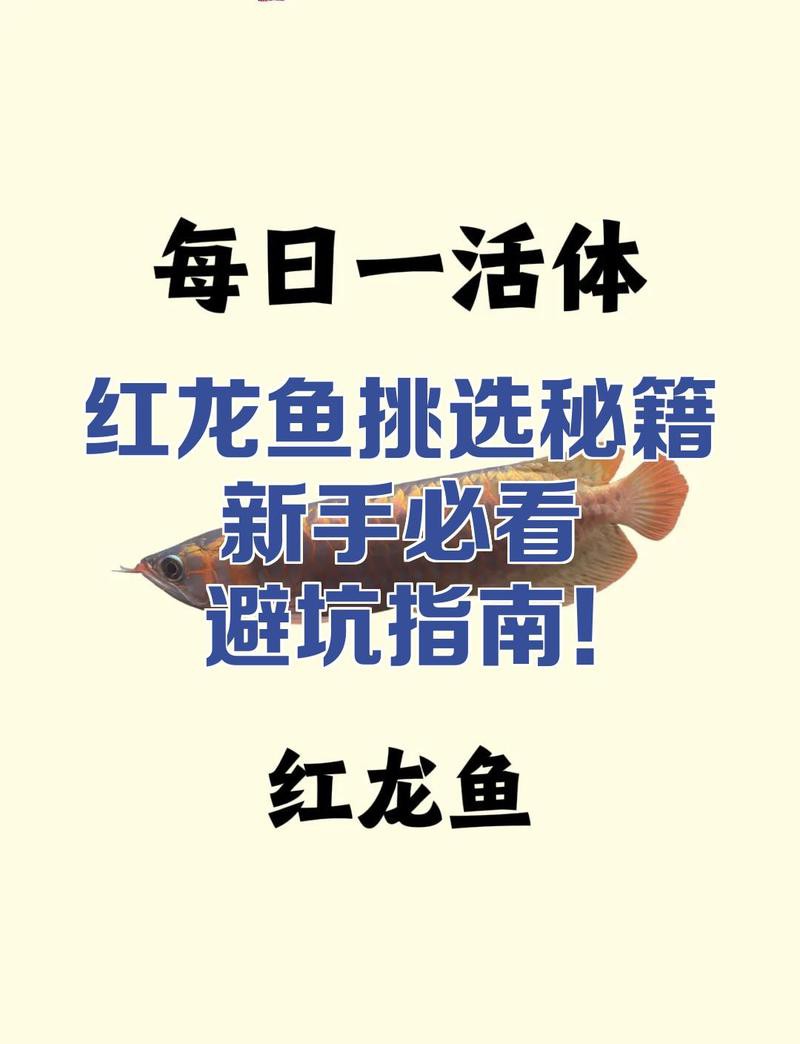 如何判斷印尼紅龍是否健康？，判斷印尼紅龍是否健康需綜合觀察
