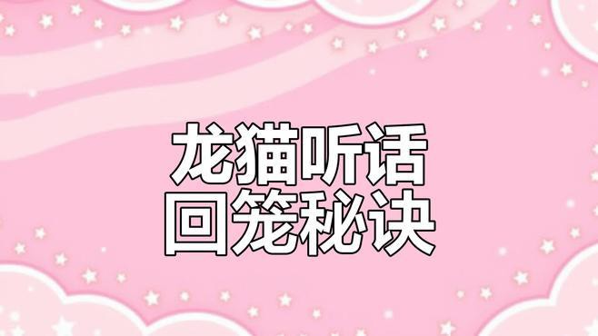 如何訓(xùn)練龍貓回籠？，如何讓龍貓乖乖回籠子嗶哩嗶哩嗶哩嗶哩嗶哩嗶哩必看
