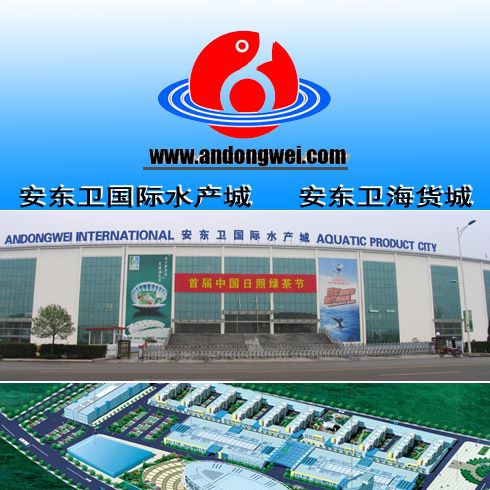 日照水族批發市場，日照三大海鮮市場探秘 日照水族批發市場，日照三大海鮮市場探秘 全國水族館企業名錄 第4張