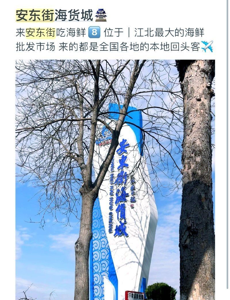 日照水族批發市場，日照三大海鮮市場探秘 日照水族批發市場，日照三大海鮮市場探秘 全國水族館企業名錄 第6張