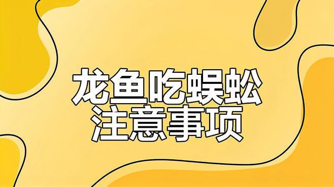 如何判斷龍魚是否需要喂蜈蚣？，如何判斷龍魚是否需要喂蜈蚣，龍魚喂蜈蚣是否可行