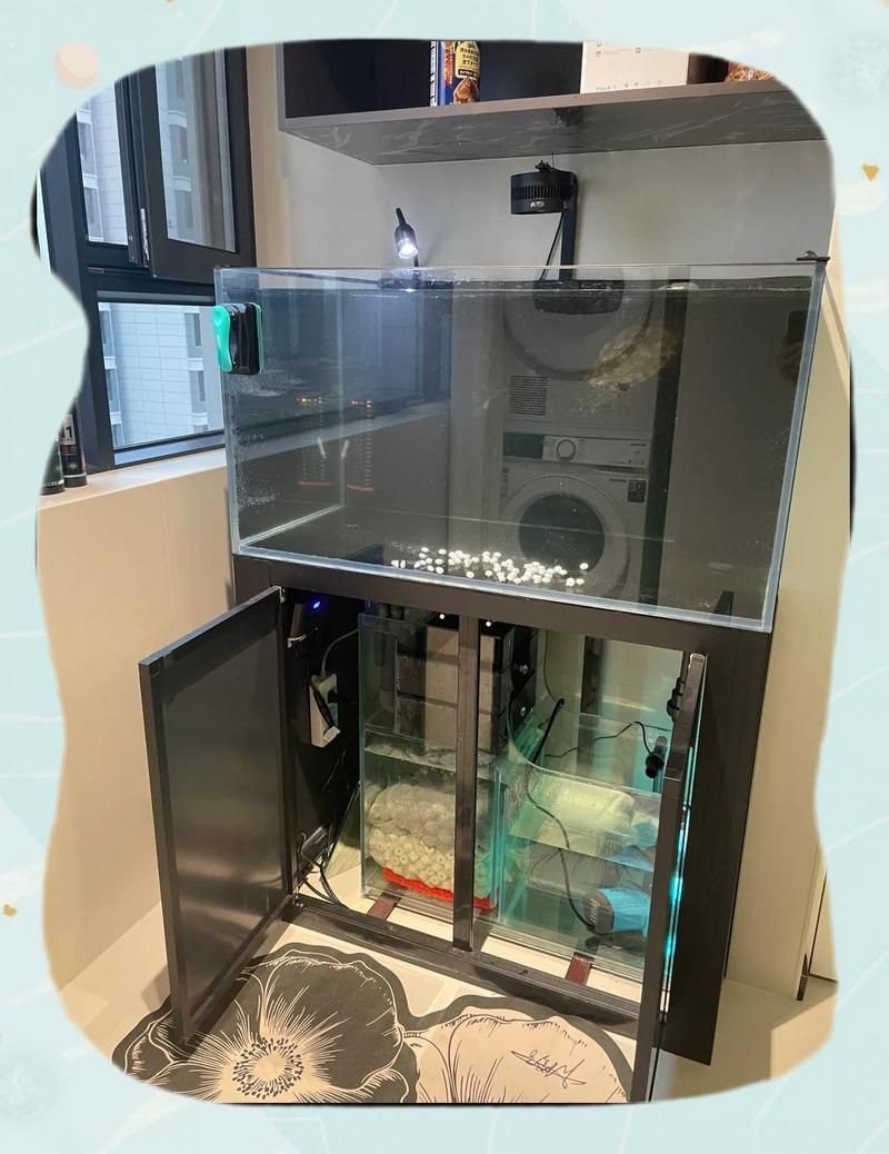 西安魚缸店，西安最大水族商店——水晶宮水族藝術館