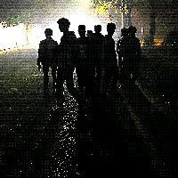 鎮江魚缸店，丹陽鎮江魚缸店綜合信息整理咪兔starlet吃呵玩