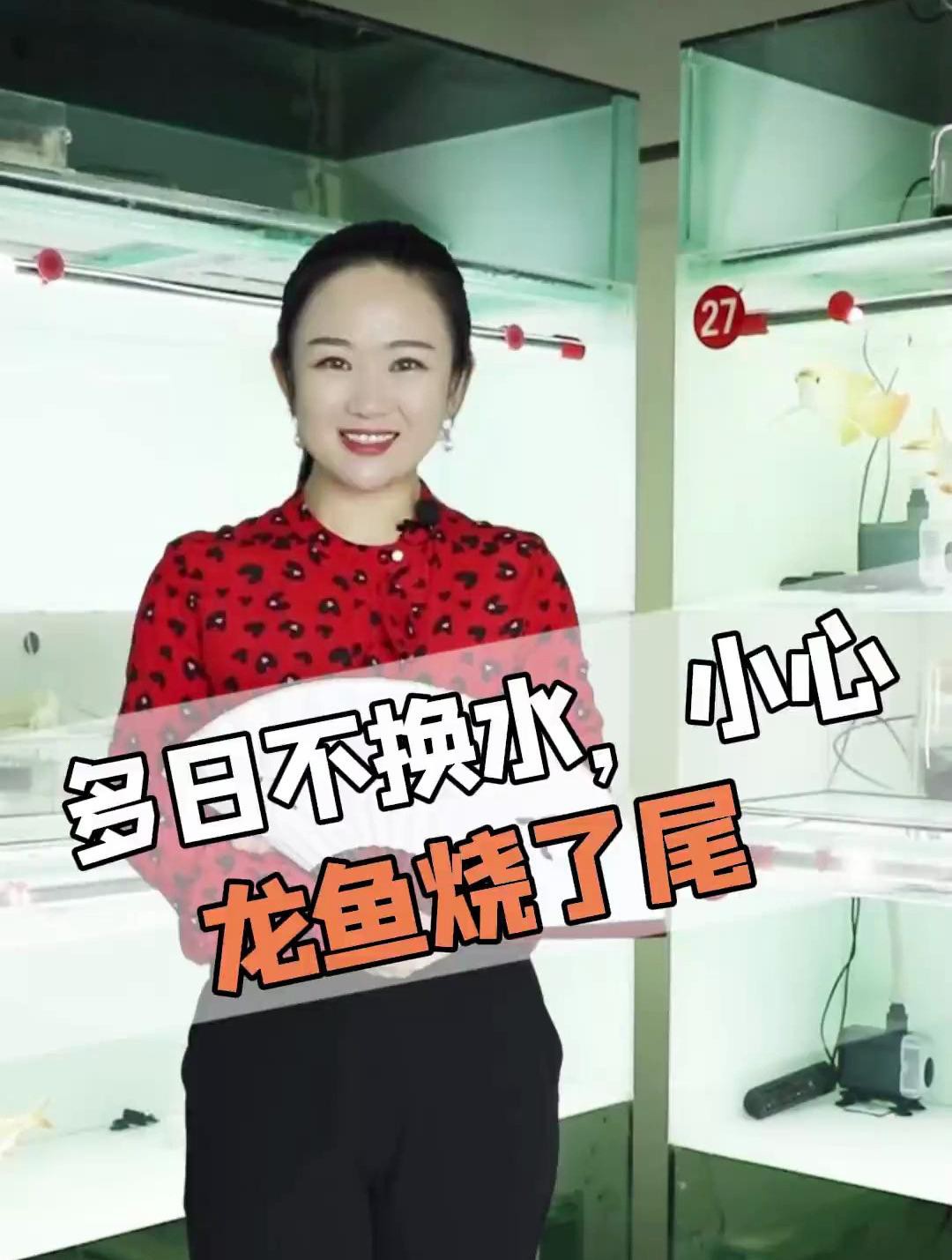 如何預防龍魚再次燒尾？，多日不換水，小心龍魚燒尾、掉尾怎么辦 如何預防龍魚再次燒尾？，多日不換水，小心龍魚燒尾、掉尾怎么辦 龍魚論壇 第1張