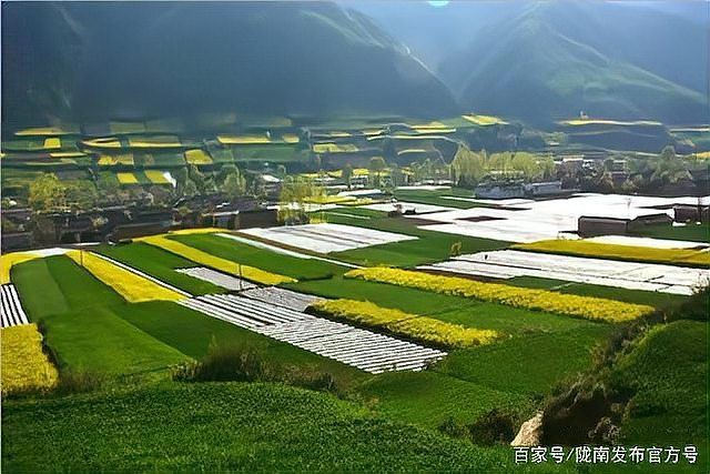 隴南魚缸批發市場，隴南地區魚缸批發市場 隴南魚缸批發市場，隴南地區魚缸批發市場 全國水族館企業名錄 第5張