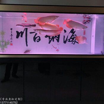 鹽城魚缸定做，鹽城地區的魚缸定做服務市場活躍涵蓋多種類型與應用場景