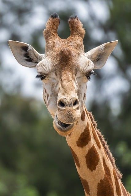 遼陽(yáng)魚(yú)缸定做，遼陽(yáng)地區(qū)魚(yú)缸定做服務(wù)蓬勃發(fā)展涵蓋多種類型與規(guī)格與規(guī)格