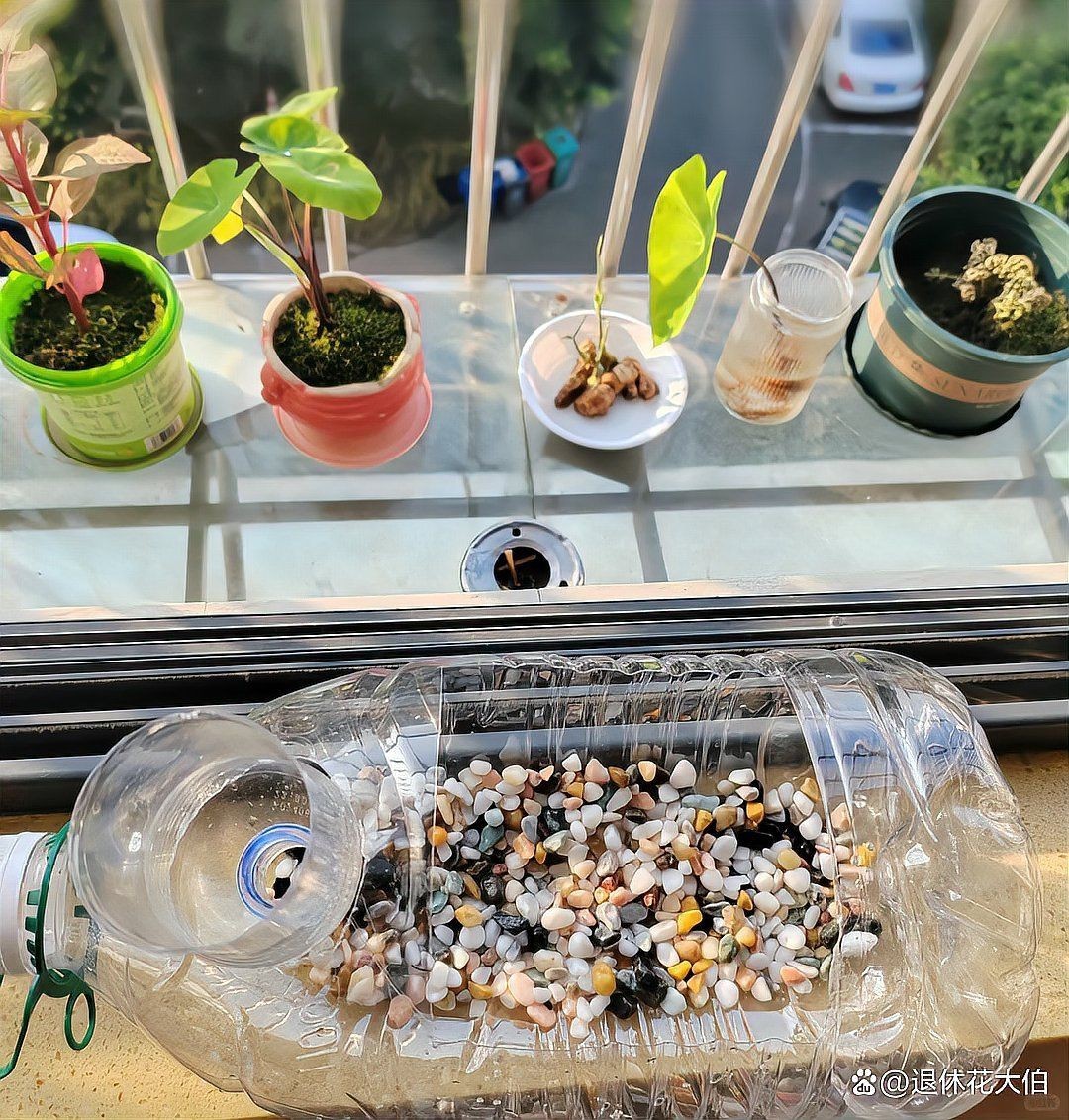 遼陽魚缸定做，遼陽地區魚缸定做服務蓬勃發展涵蓋多種類型與規格與規格