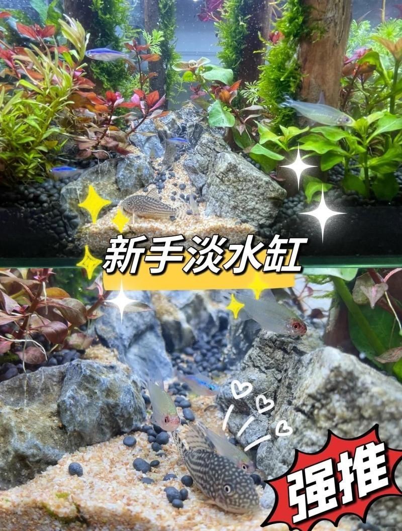 那曲魚缸批發(fā)市場(chǎng)，那曲魚缸批發(fā)市場(chǎng)作為區(qū)域特色產(chǎn)業(yè)聚焦于各類水族箱與魚缸供應(yīng)及定制服務(wù)
