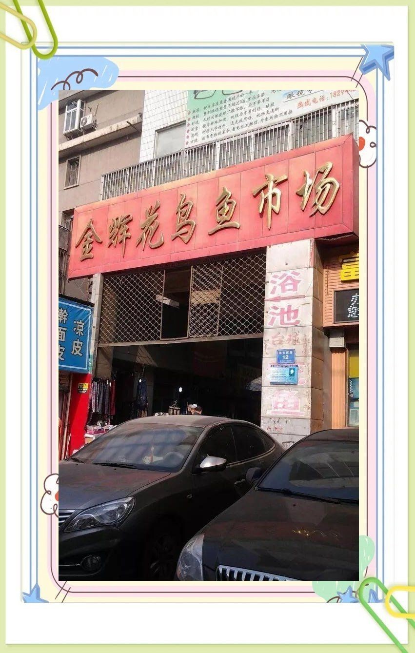 那曲魚缸批發(fā)市場(chǎng)，那曲魚缸批發(fā)市場(chǎng)作為區(qū)域特色產(chǎn)業(yè)聚焦于各類水族箱與魚缸供應(yīng)及定制服務(wù)