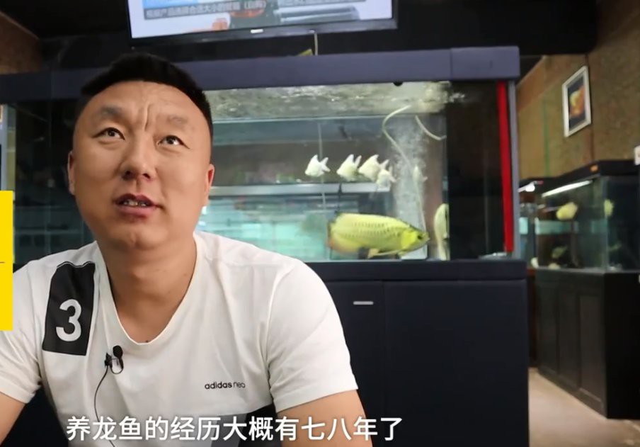 呼和浩特龍魚店，呼和浩特哪家龍魚店口碑最好