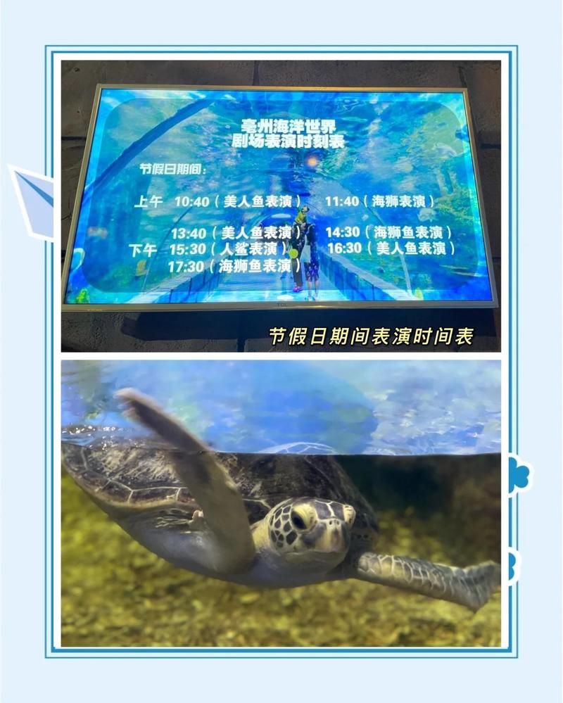 毫州水族店，亳州市譙城區好多魚水族用品店