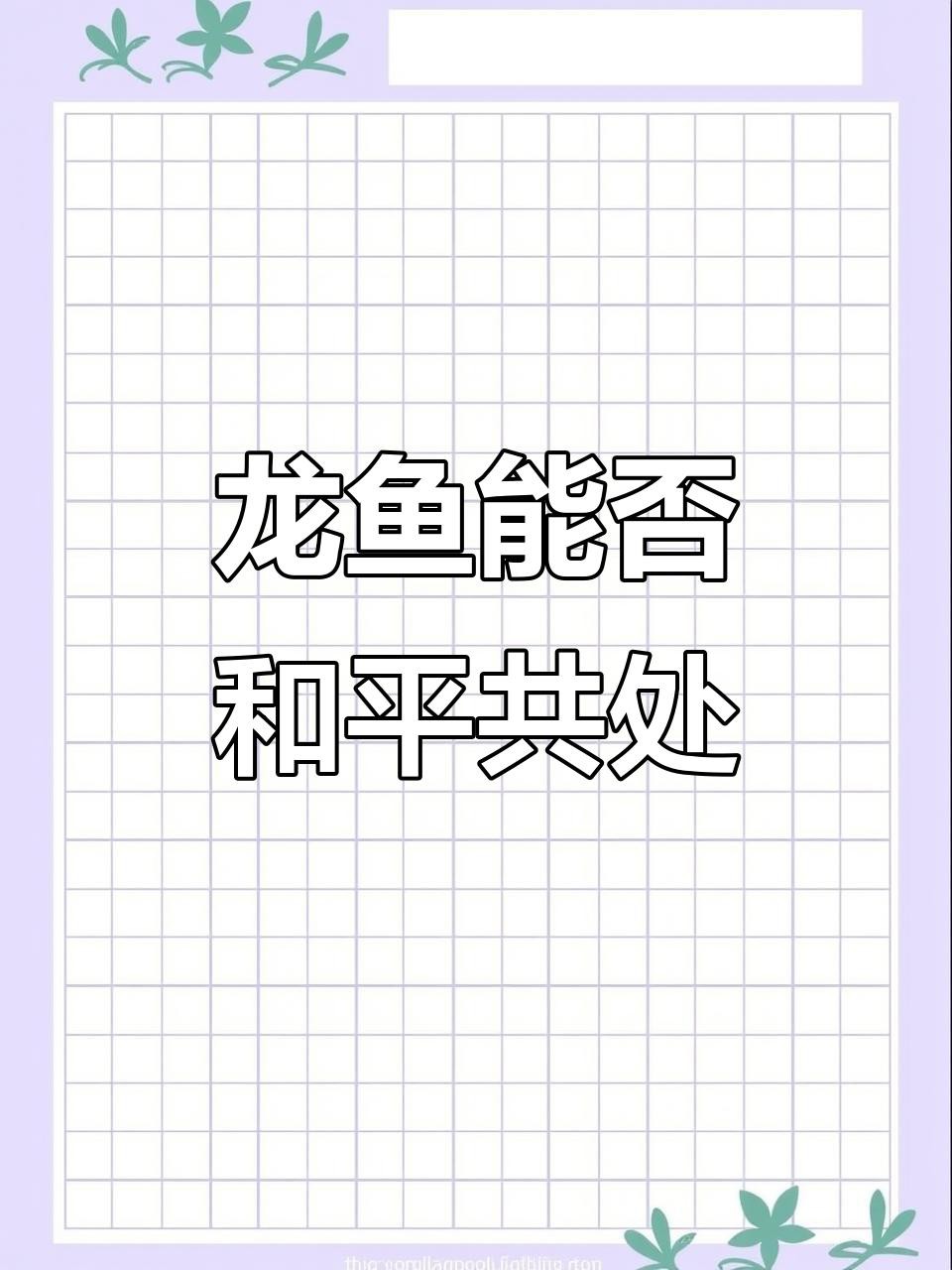 如何判斷龍魚和混養魚是否和諧相處？，如何判斷龍魚與混養魚是否和諧相處