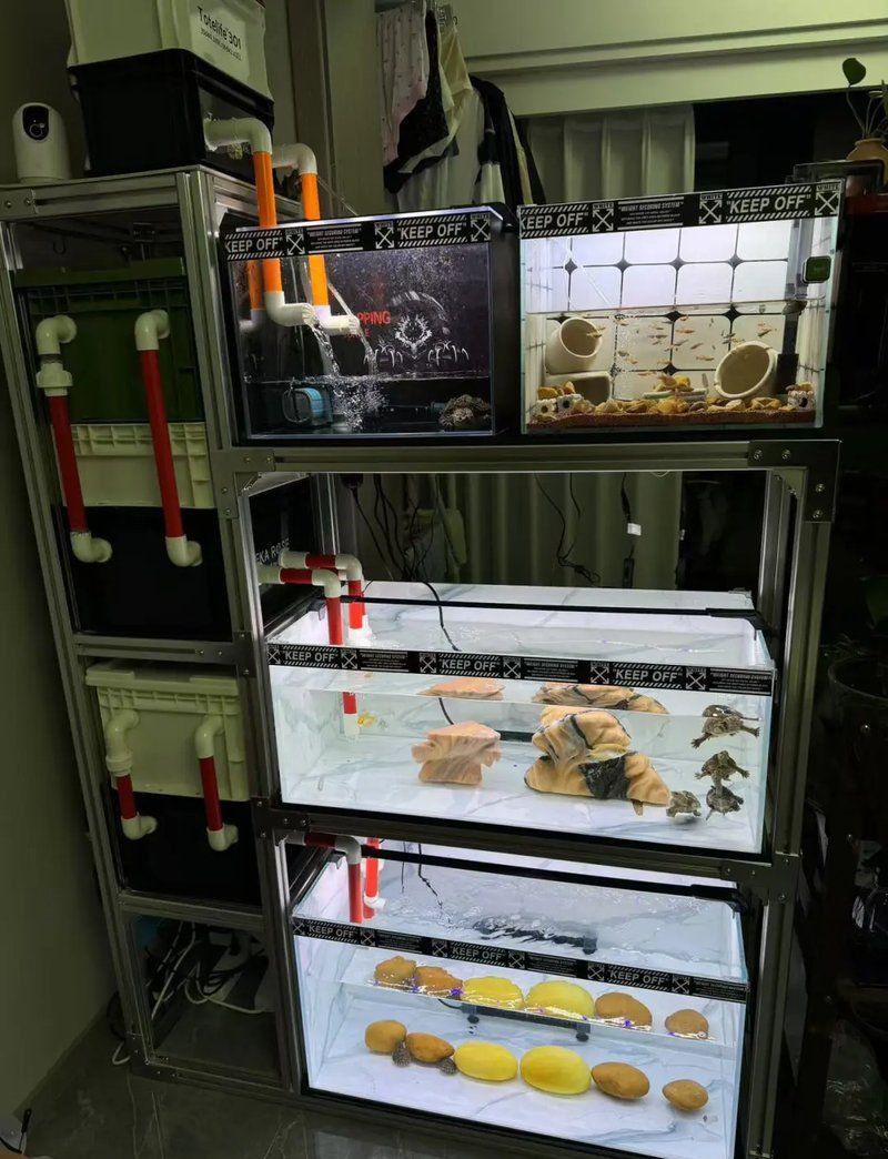 欽州魚缸定做，欽州大型魚缸定制