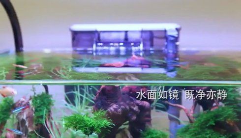 甘孜藏族自治州魚缸維護(hù)，—甘孜藏族自治州魚缸維護(hù)實(shí)踐報(bào)告