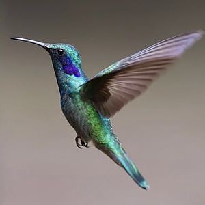 甘孜藏族自治州魚缸維護(hù)，—甘孜藏族自治州魚缸維護(hù)實(shí)踐報(bào)告