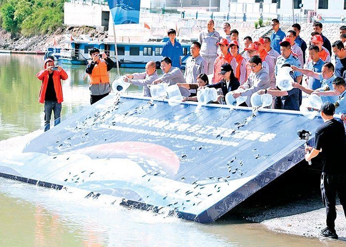 甘孜藏族自治州魚(yú)缸維護(hù)，—甘孜藏族自治州魚(yú)缸維護(hù)實(shí)踐報(bào)告