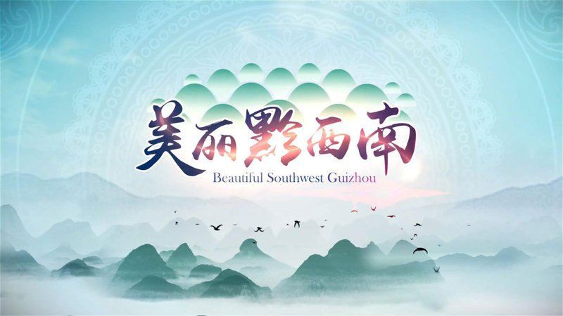 黔西南布依族苗族自治州水族店，興義黔西南布依族苗族自治州擁有多家特色水族店