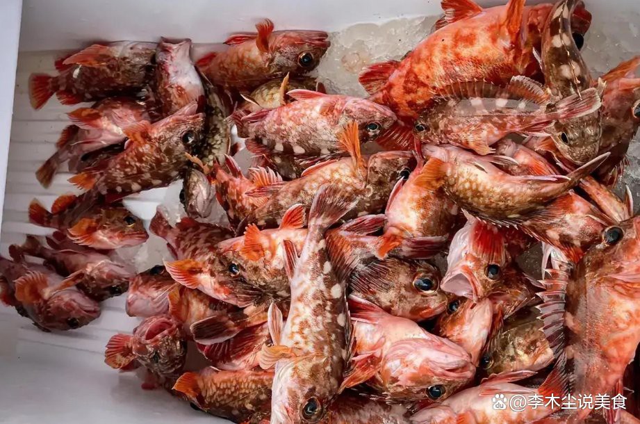 石九公魚為何要盡量少吃，石九公魚的營養(yǎng)價值有哪些