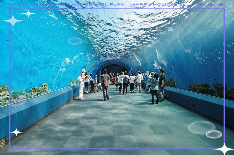 樂山水族店，樂山市中區(qū)躍城水族館愛企查樂山市中區(qū)魚多多水族館愛企查