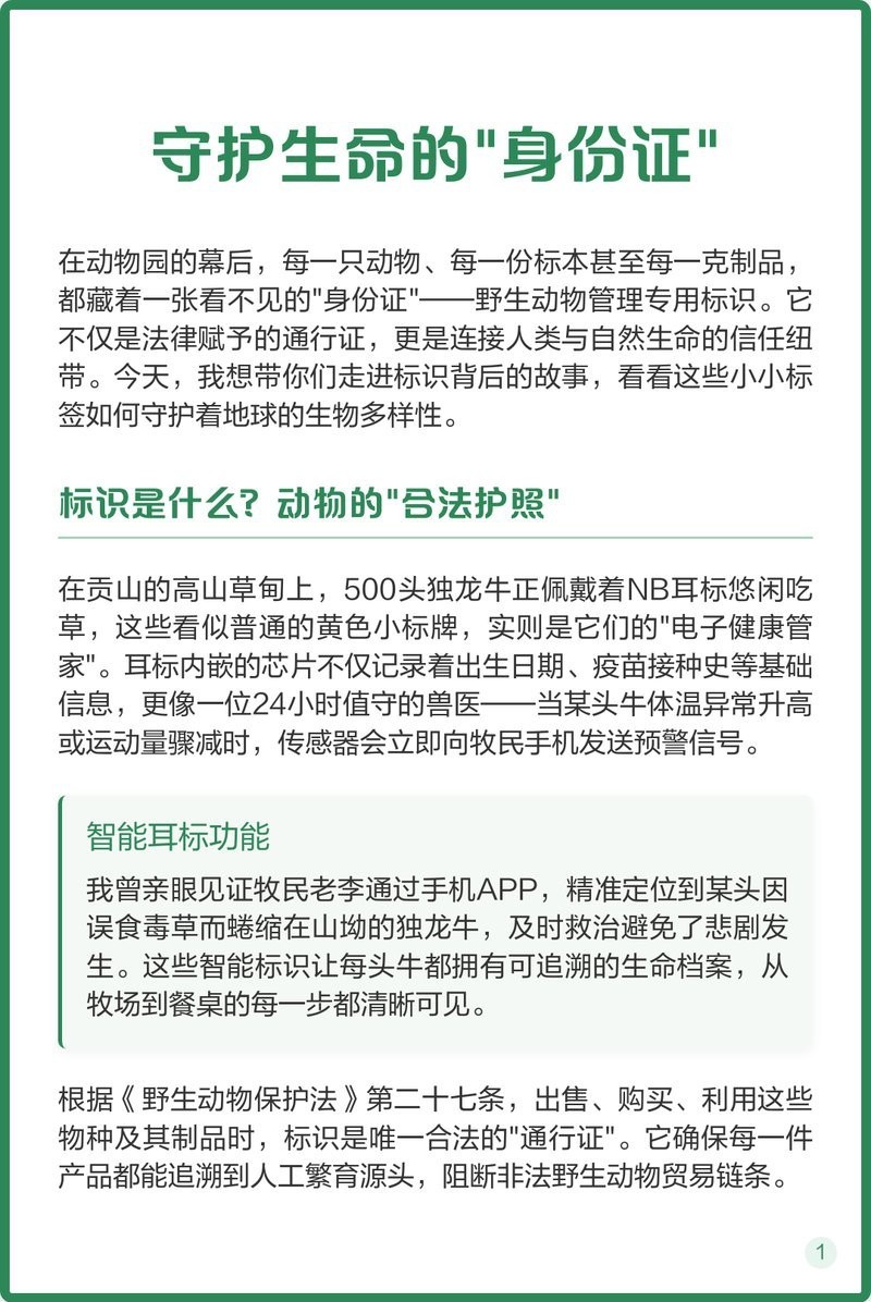 如何辨別鱘龍魚是否合法養殖？，如何區分雜交鱘和中華鱘？ 如何辨別鱘龍魚是否合法養殖？，如何區分雜交鱘和中華鱘？ 龍魚論壇 第2張