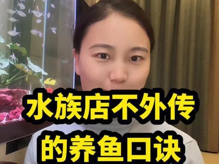 奇臺水族店，奇臺縣主要水族店的綜合信息