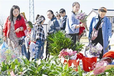 滁州魚缸批發(fā)市場(chǎng)，滁州新花鳥魚蟲市場(chǎng)為何備受期待,品質(zhì)升級(jí)情懷依舊 滁州魚缸批發(fā)市場(chǎng)，滁州新花鳥魚蟲市場(chǎng)為何備受期待,品質(zhì)升級(jí)情懷依舊 全國水族館企業(yè)名錄 第7張