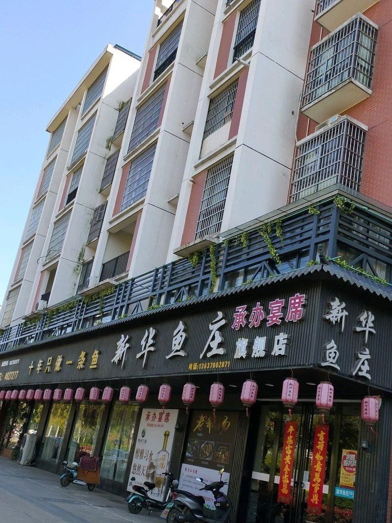 新華龍魚店，新華龍魚店在哪里 新華龍魚店，新華龍魚店在哪里 全國水族館企業名錄 第7張