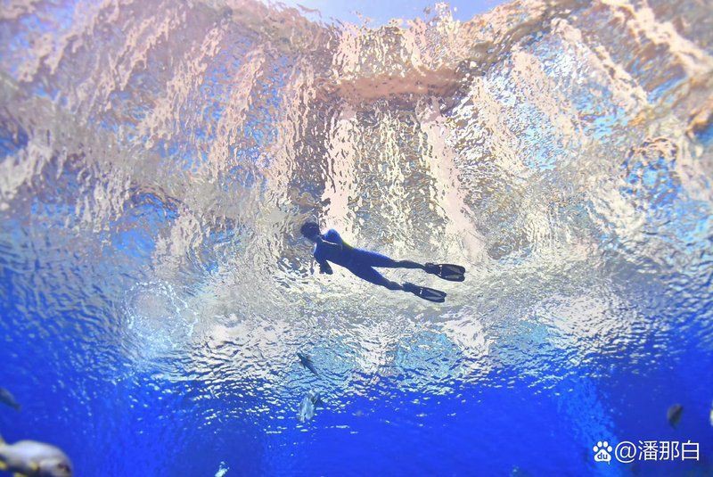 昌都水族店，昌都水族店怎么樣