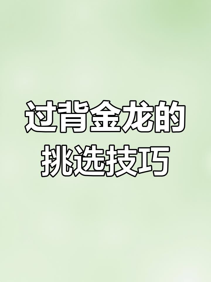 如何挑選高品質的過背金龍？，《如何挑選高品質的過背金龍》過背金龍魚挑選全攻略