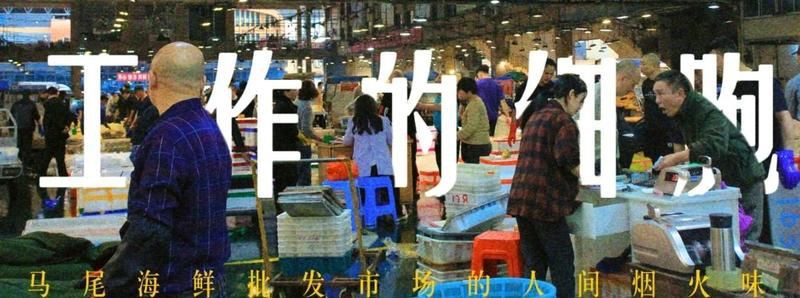 福州水族批發(fā)市場，年貨首選的批發(fā)天堂,無牽無掛的思瑤更超然 福州水族批發(fā)市場，年貨首選的批發(fā)天堂,無牽無掛的思瑤更超然 全國水族館企業(yè)名錄 第3張