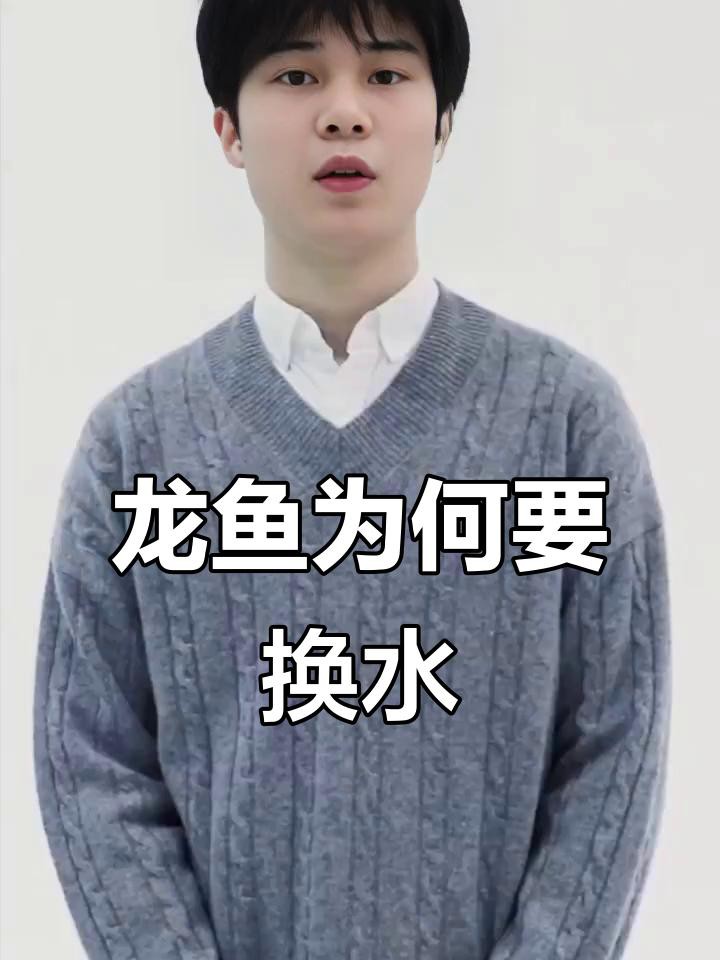 如何判斷龍魚是否需要換水？，如何判斷龍魚是否需要換水