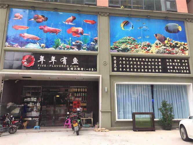 新建水族店，開個(gè)賣觀賞魚的店創(chuàng)業(yè)新選擇水族店創(chuàng)業(yè)全攻略