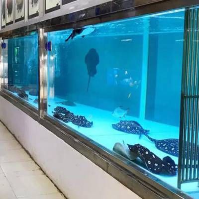 福州魚缸店，福州哪里有魚缸賣