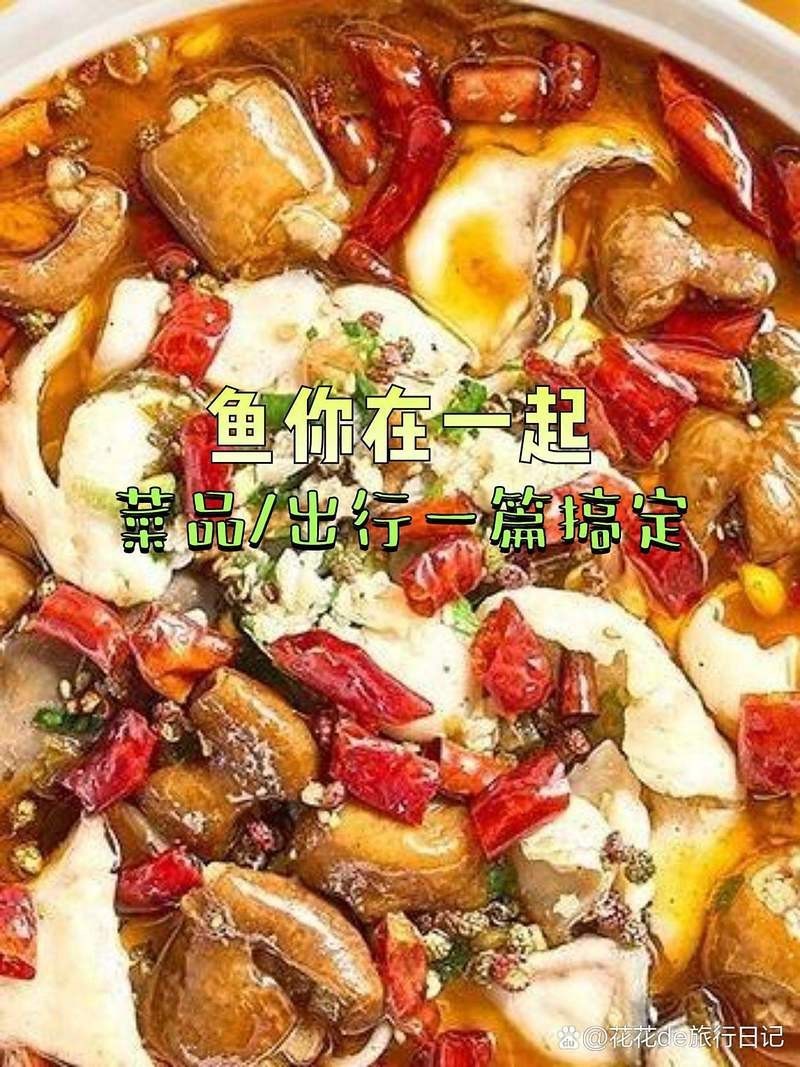 莊浪龍魚店，莊浪浪龍魚店的評價如何