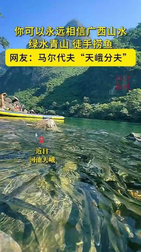 河池龍魚店，天峨縣紅水河的“藍刀魚風暴”成為網紅景點 河池龍魚店，天峨縣紅水河的“藍刀魚風暴”成為網紅景點 全國水族館企業名錄 第10張
