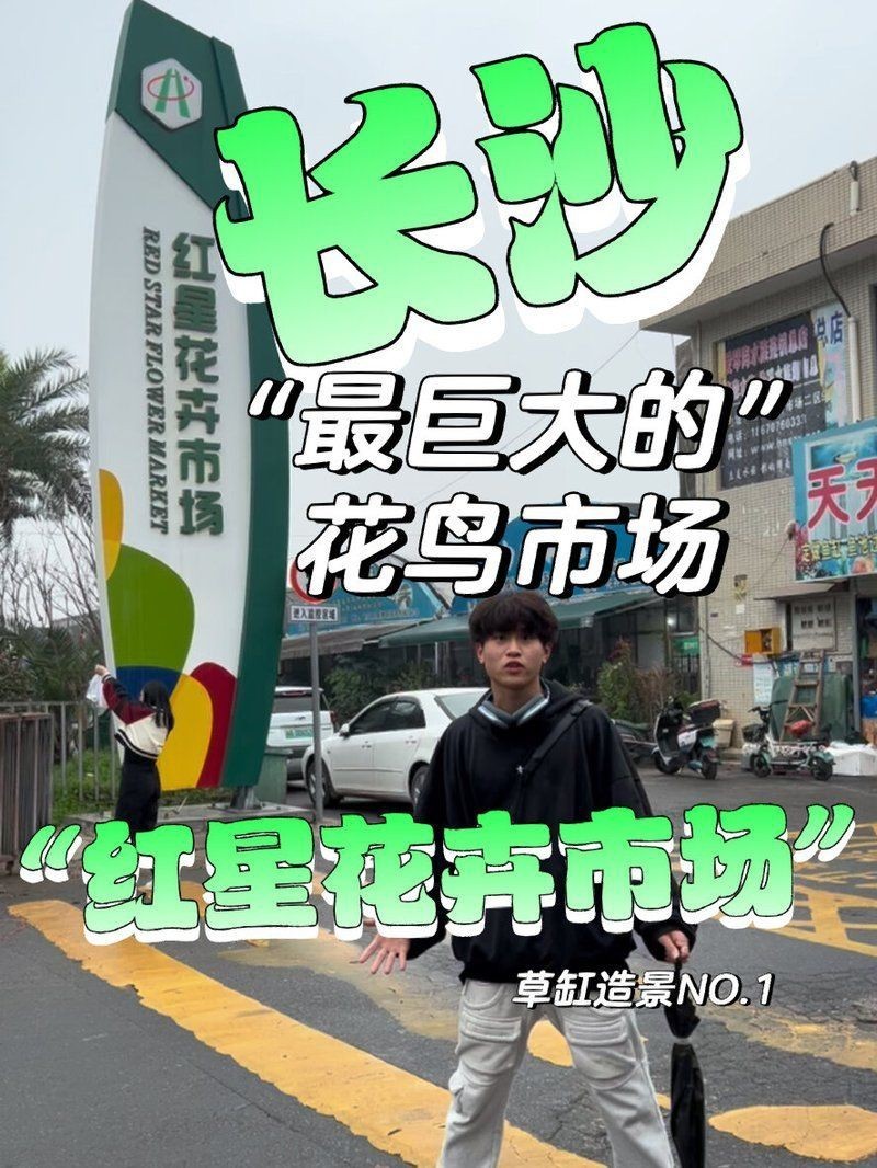 長(zhǎng)沙魚缸批發(fā)市場(chǎng)，長(zhǎng)沙魚缸批發(fā)市場(chǎng)分析