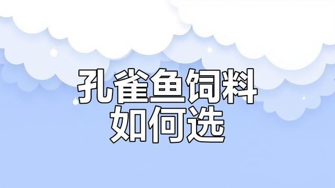 孔雀魚喂什么飼料最好？，《孔雀魚喂什么飼料最好》孔雀魚飼料怎么選經(jīng)驗分享