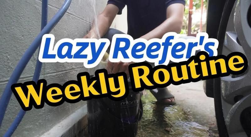 荊門魚缸維護，荊門地區的魚缸維護是一項系統性工作