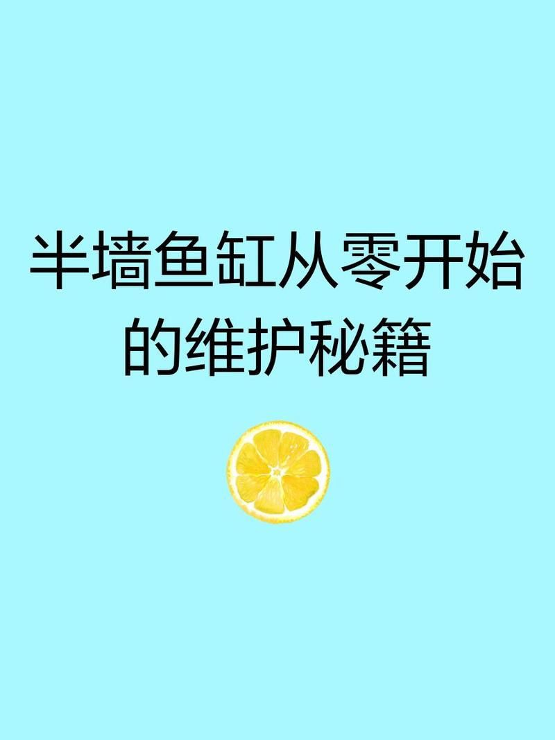 荊門魚缸維護，荊門地區的魚缸維護是一項系統性工作