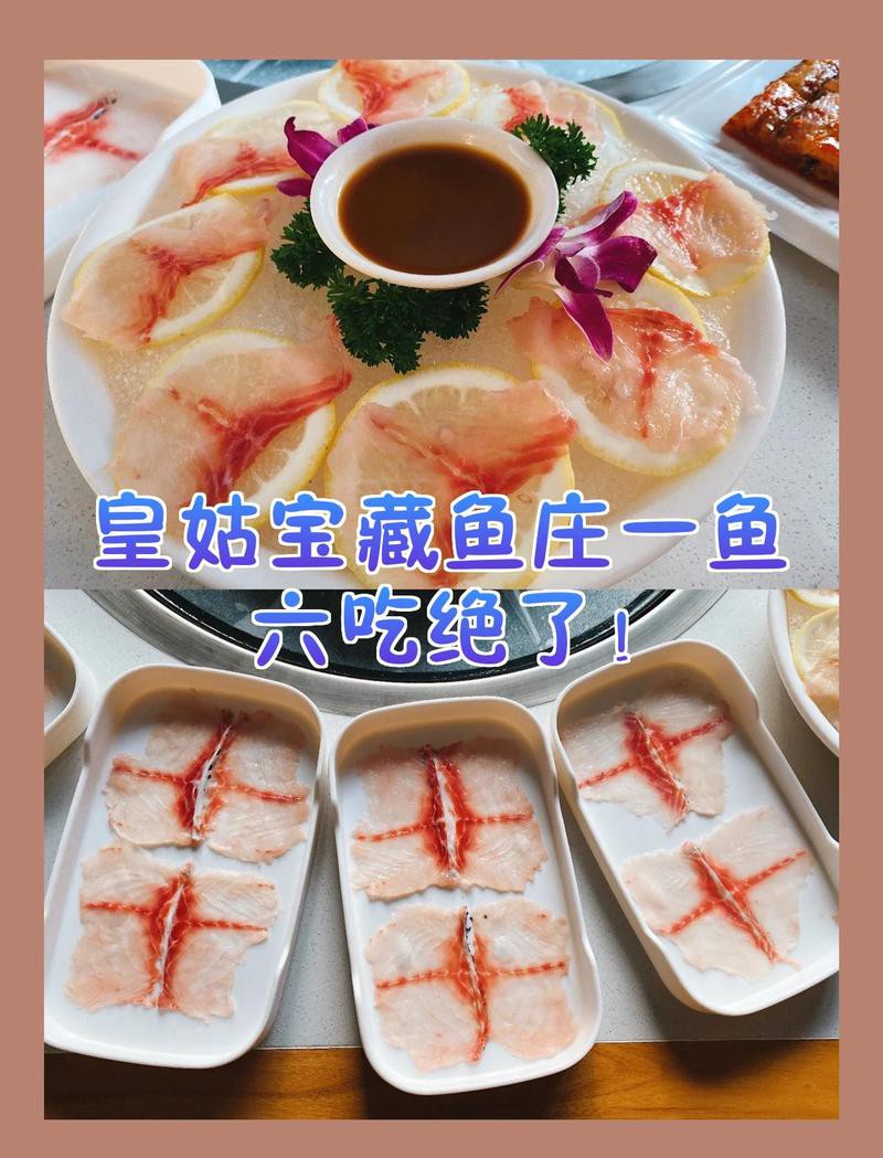婁煩龍魚店，婁煩龍魚店的價格如何