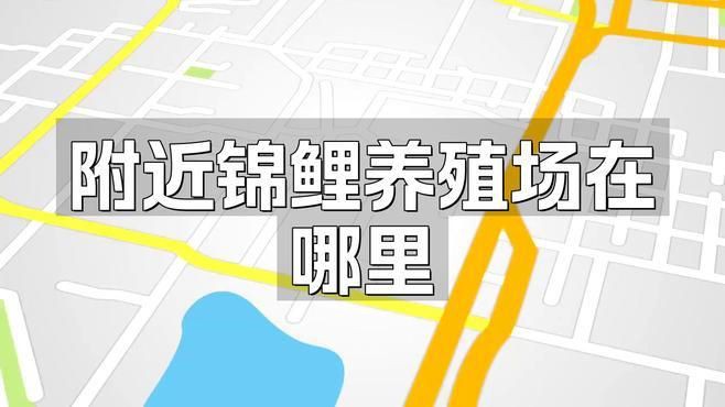 離我最近的錦鯉養(yǎng)殖場，《離我最近的錦鯉養(yǎng)殖場》探尋距離作者最近的錦鯉養(yǎng)殖場 離我最近的錦鯉養(yǎng)殖場，《離我最近的錦鯉養(yǎng)殖場》探尋距離作者最近的錦鯉養(yǎng)殖場 龍魚百科 第1張