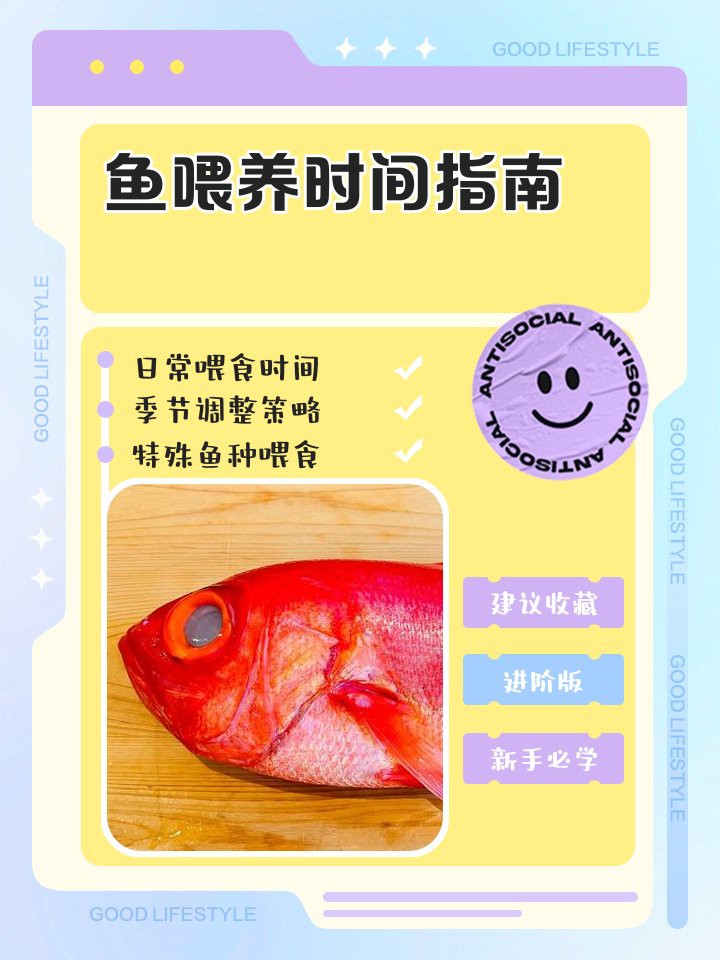 40公分金龍魚多久喂一次？，40公分金龍魚一次喂多少合適金龍魚快速發色營養與食物搭配全攻略