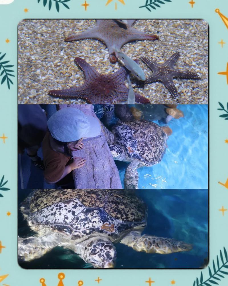 南陽水族店，南陽水族店怎么樣 南陽水族店，南陽水族店怎么樣 全國水族館企業(yè)名錄 第2張