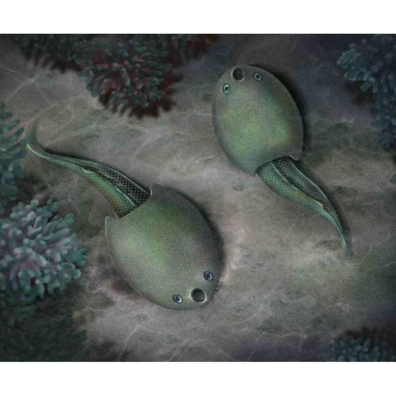 德安龍魚店，廣州聚龍灣龍魚店)德安魚化石具有重要科學價值