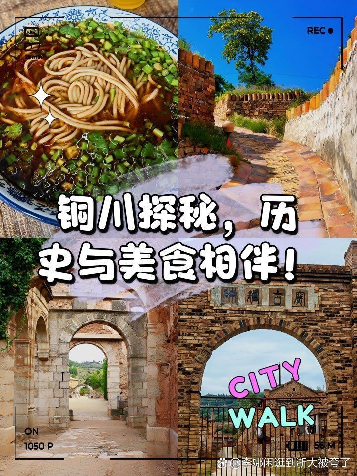 銅川龍魚店，對祥龍魚場銅川分店