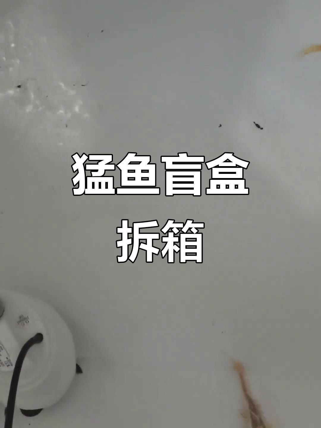 猛魚盲盒開箱視頻，狂砸3000拆猛魚盲盒,是虧到哭還是賺翻了