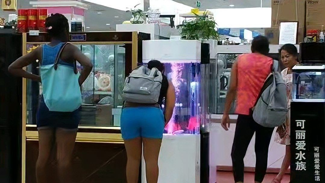 西寧魚缸店，西寧魚缸店行業如何升級轉型