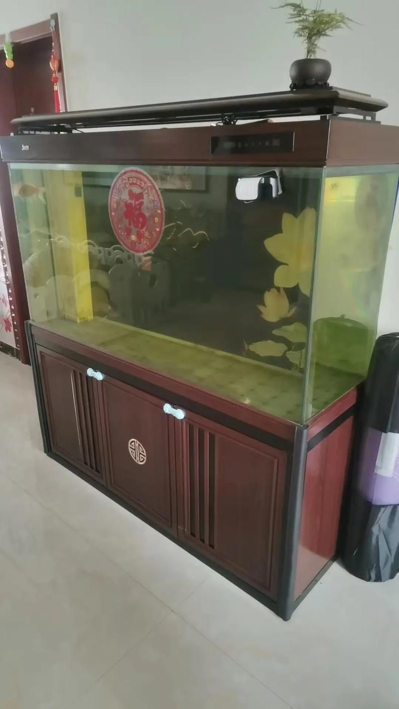 石家莊魚(yú)缸店，石家莊家用魚(yú)缸批發(fā)市場(chǎng)