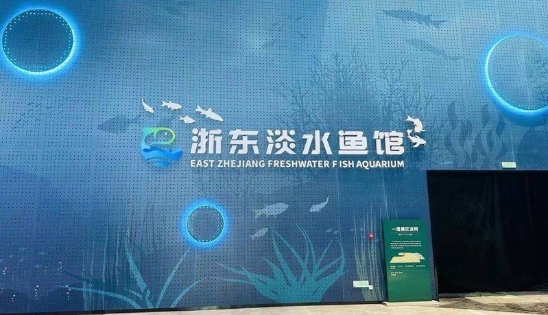 紹興龍魚店，紹興市柯橋區柯橋區柯橋魚龍食品店成立于2023年9月28日